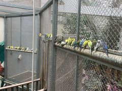 -正佳雨林生态植物园
