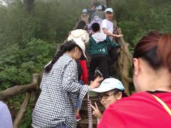 -洛阳白云山景区