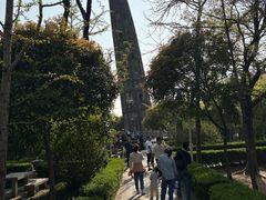 -上海佘山国家森林公园天马山园