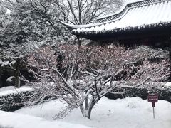 -梅园