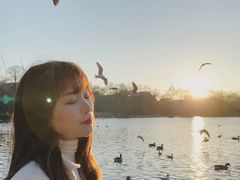 -海德公园