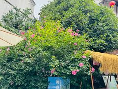 -海窝子古镇