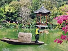 -云溪植物园