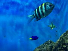 -福州罗源湾海洋世界旅游区