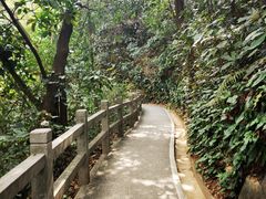 -广州市白云山风景名胜区