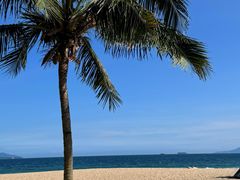 -玫瑰海岸文化旅游度假区