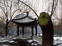 -紫竹院公园冰场