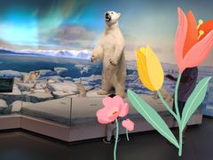 -陕西自然博物馆