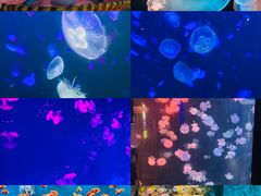 -南京金牛湖风景区