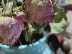 -默迹咖啡馆