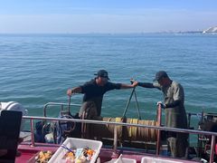 -日照世帆赛基地