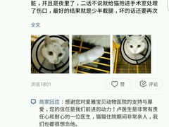 -中农大我爱我爱24h动物医院·中医针灸·猫专科·骨科医疗中心(双井店)