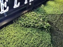 -穿越·兴化早茶·兴化味(英武路店)
