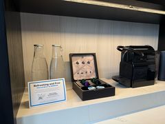 -新加坡乌节希尔顿酒店 (SG Clean)