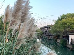 -南花桥羊肉馆老字号(乌镇店)