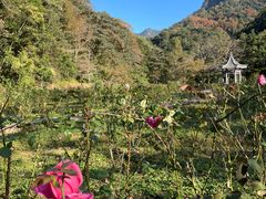 -广州市石门国家森林公园