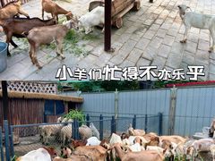 -保定市动物园