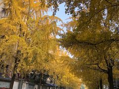 -四川大学(望江校区)