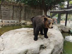 -灵玲国际马戏城