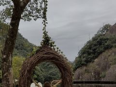 -龙湾潭国家森林公园