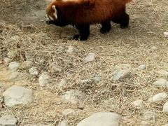 -临沂动植物园