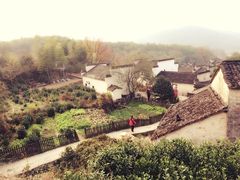 -塔川景区