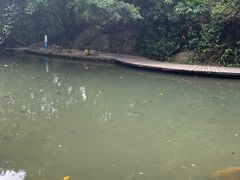 -燕晗山郊野公园