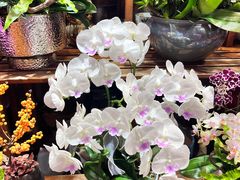 -双季花艺园艺市场(浦东店)