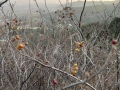 -鬼笑石后山停车场