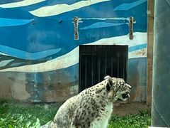 -青藏高原野生动物园