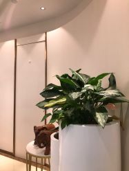 -丽美妍医疗美容·皮秒·立体分层抗衰
