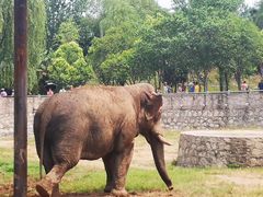 -西安秦岭野生动物园