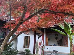 -十八棵（老龙井）御茶园(老龙井店)