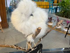 -南宫五洲植物乐园