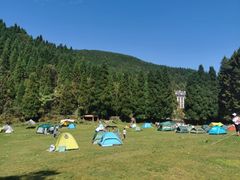 -武陵山森林公园