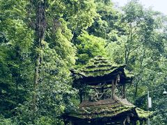 -青城山