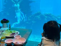 -涛·海底餐厅·美人鱼·自助餐·海底隧道(三亚海棠湾洲际度假酒店)
