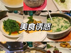 -荟廷·晶萃(陆家嘴尚悦湾店)