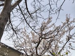 -姚家猪蹄坊(蓝田县店)