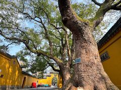 -西园戒幢律寺