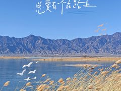 -野鸭湖国家湿地公园