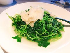 竹笙扒时蔬-皇朝会.经典传统粤菜(外滩店)