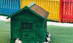 -萌宠亲子动物乐园(槐房万达店)