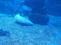 -多彩贵州城极地海洋世界