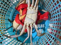 -崖口红树林海鲜餐厅