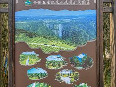-刘伯温故里景区百丈漈