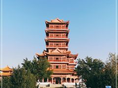 -仙人山公园