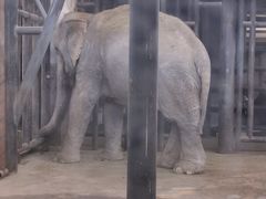 -新疆天山野生动物园