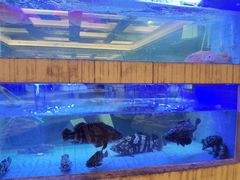 -潮福城大酒楼(北尚店)