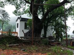 -石台牯牛降景区